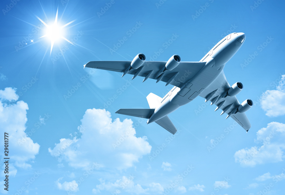 Express Domestic Flight Package